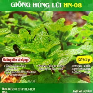 Hạt giống rau Húng Lũi (Húng Lủi, Húng Láng) gói 0.2gr