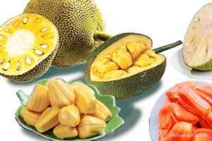 Các loại Mít ngon ở Việt Nam được ưa thích nhất hiện nay