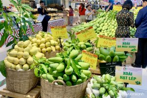 Các loại Xoài ngon phổ biến ở Việt Nam được nhiều người ưa thích