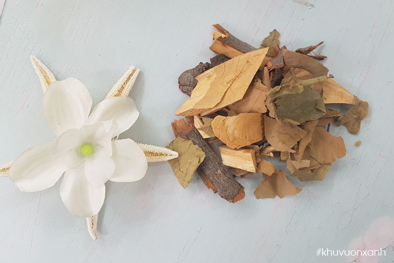 Dũ dẻ rừng thái lát phơi khô làm trà uống