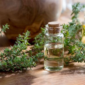 tinh dau la thyme co xa huong