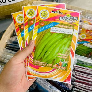 Hạt giống Ớt huế xanh