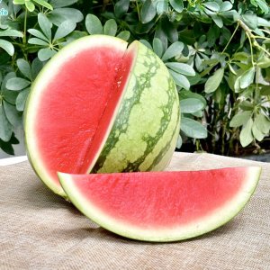 qua dua hau khong hat ruot do thai lan