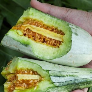 qua dua le chuoi mat dua gang ruot cam