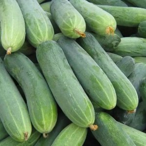 trai dua leo nep thai lan