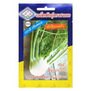 Hạt giống củ Hồi (củ Thì là) Fennel Florence gói 2gr nhập Thái Lan