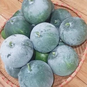 qua bi dao huong tron