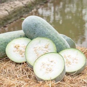 qua bi dao phan trang trai dai