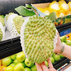 qua na sau rieng trai to