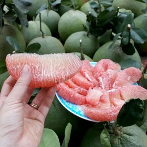 mui buoi da xanh ruot hong