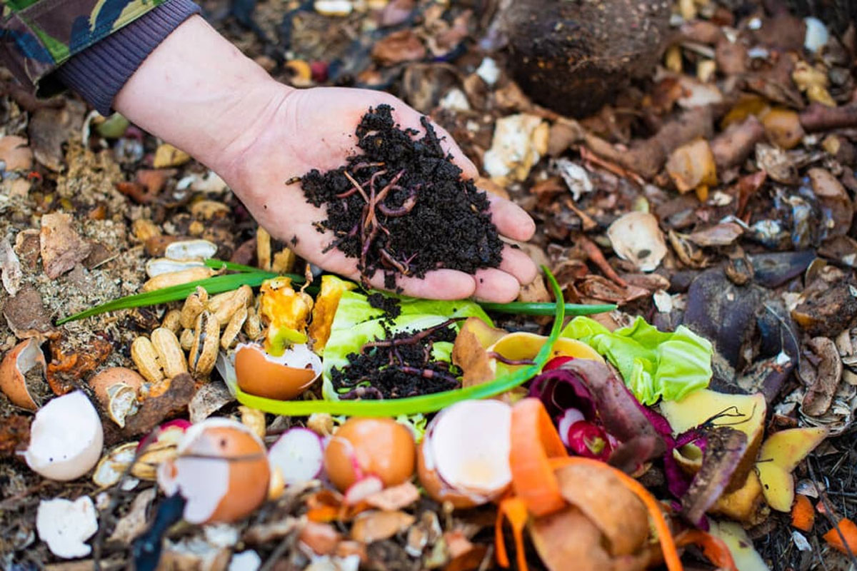 Phân bón Hữu cơ rất tốt cho Đất