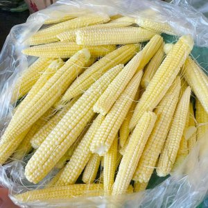Ngô bao tử