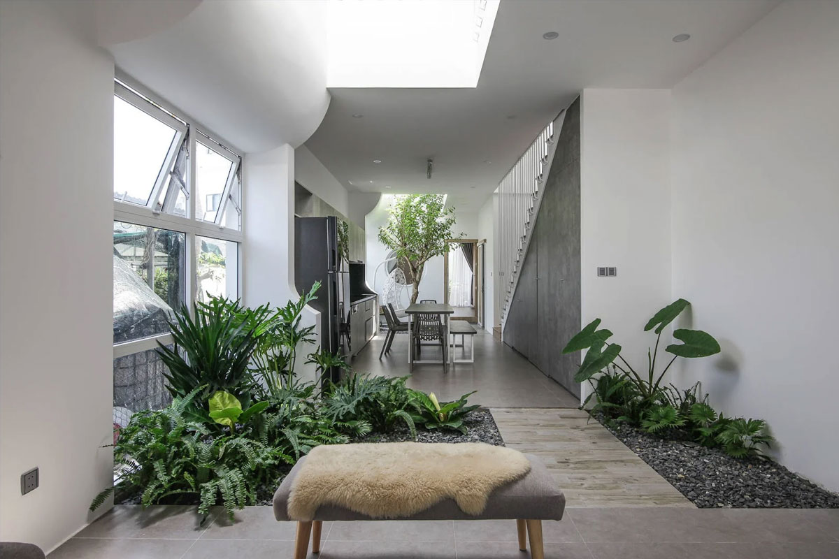 Vị trí đặt cây cảnh phải hợp Phong thủy và phù hợp với không gian nội thất