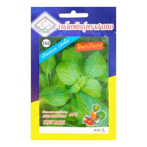 Hạt giống Húng quế Tây (Bạc hà Thái, Tree Basil) Thái Lan gói 30 hạt
