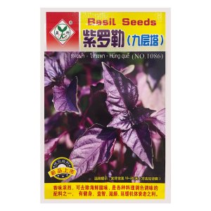Hạt giống Húng quế tím (Basil Osmin) gói 1gr, khoảng 500 hạt