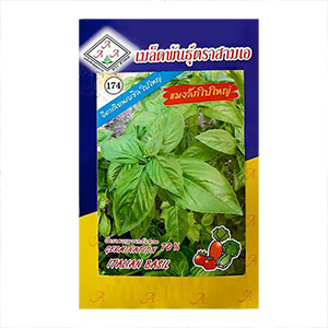 Hạt giống Húng quế Ý (Húng tây, Italian basil) nhập Thái Lan gói 100 hạt