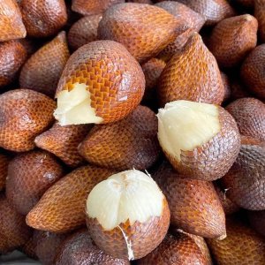 qua may bali may indo