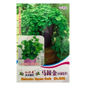 Hạt giống cỏ Đồng tiền lá nhỏ (Dichondra Repens) gói 100 hạt