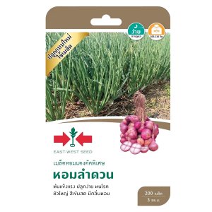 Hạt giống Hành củ tím Thái Lan gói 200 hạt