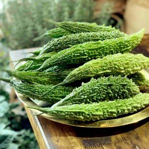 Mướp đắng gai xanh da cóc