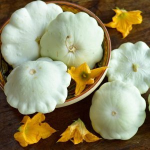 Quả Bí ngòi đĩa bay trắng